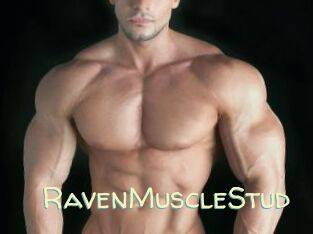 RavenMuscleStud