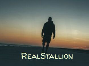 RealStallion