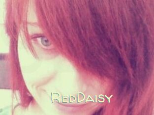 RedDaisy