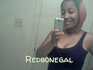 Redbonegal
