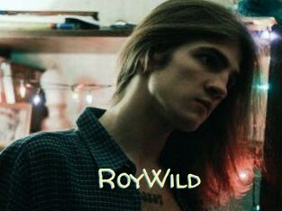 RoyWild