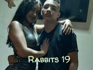 Rabbits_19