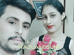 Rajuandsumi
