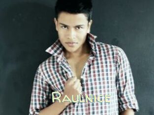 Raulnice