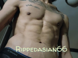 Rippedasian66