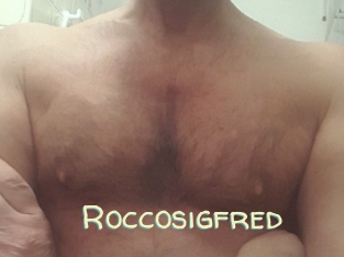 roccosigfred Sexy Tchat