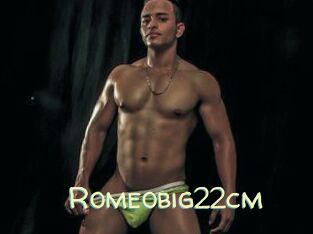 Romeobig22cm