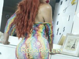 Rosarioleey