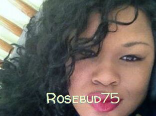 Rosebud75