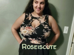 Roseiscute
