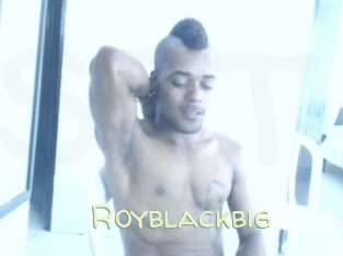 royblackbig Sexy Tchat