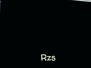 Rzs