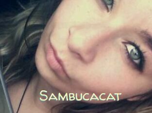 Sambucacat