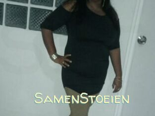SamenStoeien