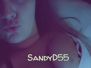 SandyD55