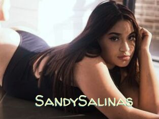 SandySalinas