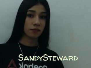 SandySteward