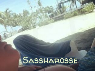 Sassharosse