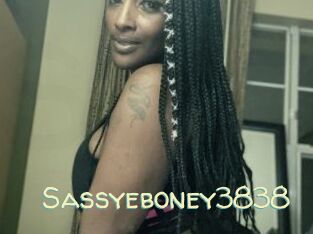 Sassyeboney3838