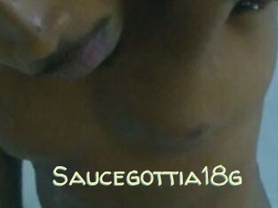 Saucegottia18g