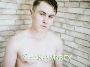 SeanAndrey