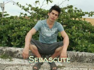 Sebascute