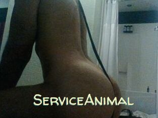 ServiceAnimal