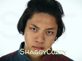 ShaggyCozzy
