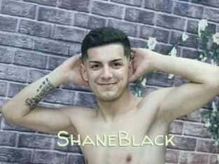 ShaneBlack