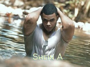 Shein_A