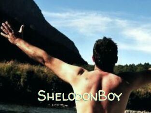 ShelodonBoy