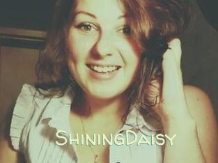 ShiningDaisy