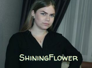 ShiningFlower Sexy Tchat