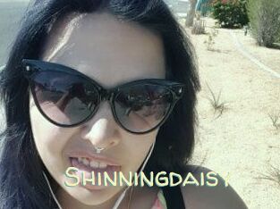 Shinningdaisy