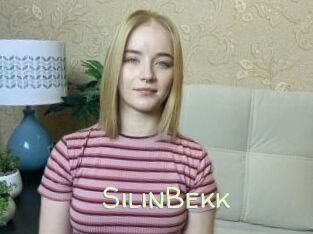 SilinBekk