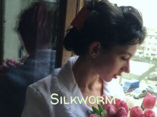 Silkworm