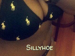 Sillyhoe