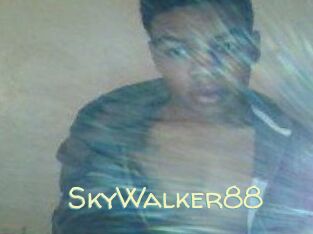 SkyWalker88