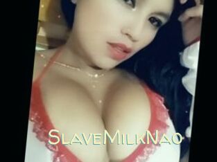 SlaveMilkNao