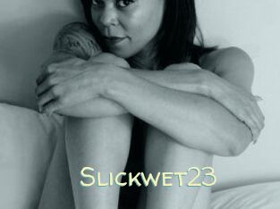 Slick_wet23