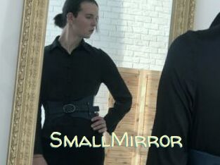 SmallMirror