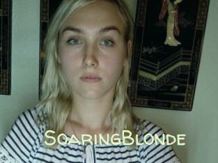 SoaringBlonde