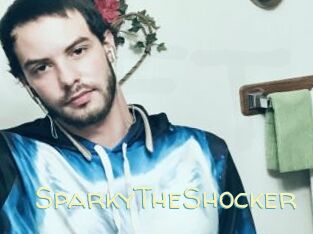 SparkyTheShocker