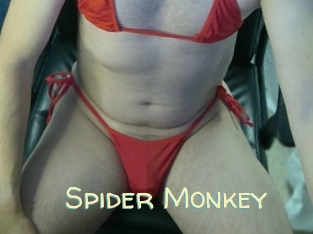 Spider_Monkey
