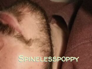 Spinelesspoppy