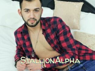 StallionAlpha