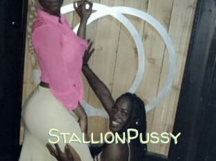 StallionPussy Sexy Tchat