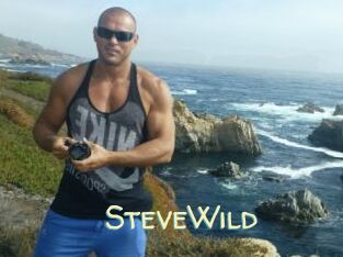 Steve_Wild