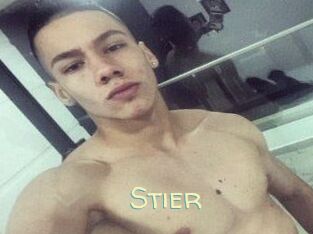 Stier