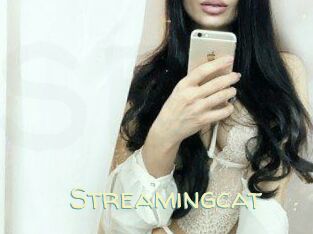 Streamingcat